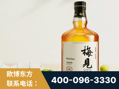 宜昌-梅见青梅酒